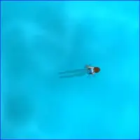 Survive the Sharks gameplay big