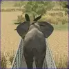 Offroad Truck Animal Transporter gameplay small